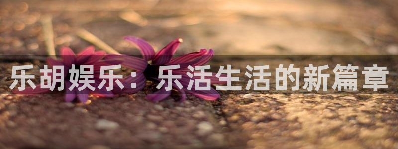 长征娱乐主管：乐胡娱乐：乐活生活的新篇章