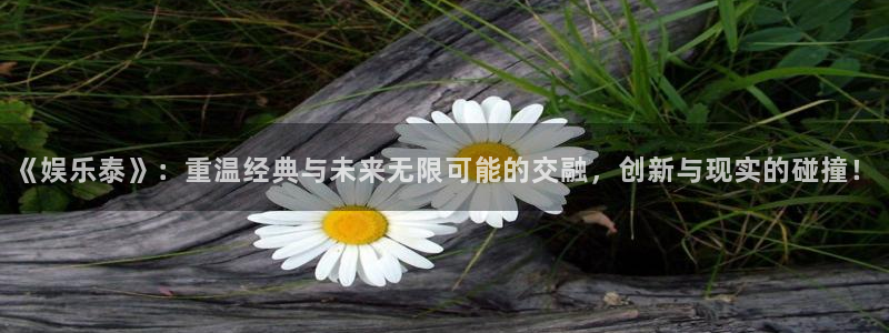 长征娱乐登录：《娱乐泰》：重温经典与未来无限可能的交融，创新与现实的碰撞！