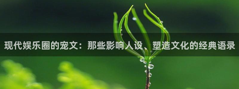 长征娱乐主管：现代娱乐圈的宠文：那些影响人设、塑造文化的经典语录