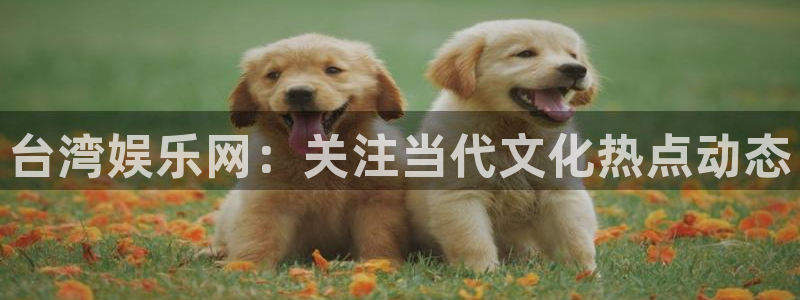 长征娱乐主管：台湾娱乐网：关注当代文化热点动态