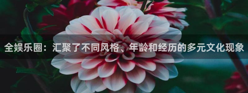 长征娱乐登录：全娱乐圈：汇聚了不同风格、年龄和经历的多元文化现象